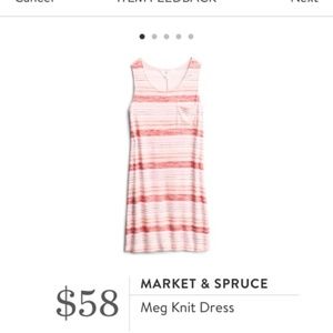 Market & Spruce Meg Knit Dress Pink Stripes